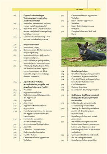 Ausdrucksverhalten Beim Hund Mimik Und Körpersprache 