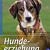 Hundeerziehung: Sozialisation, Ausbildung, Problemlösung