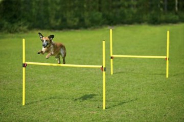 Karlie Flamingo 2er-Set Agility Hürden 14-teilig,