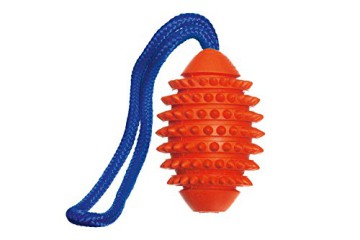 Schwimmspielzeug für Hunde