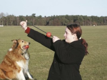Karlie Flamingo Wurfspielzeug Flying Star, schwimmfähig - 1