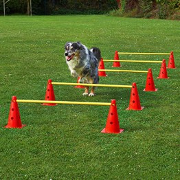 Kegel Hürden 5er Set, rot/gelb, mit Tragetasche, für Agility