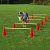 Kegel Hürden 5er Set, rot/gelb, mit Tragetasche, für Agility