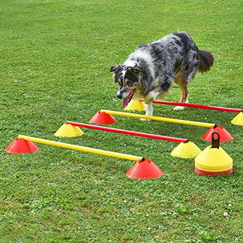 61wJPu636NL Hundetoys Hundespielzeug Agility