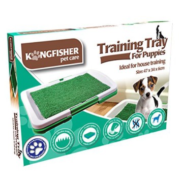 Pet Care - Training Tray Für Welpen, sehr robust, Kunststoff