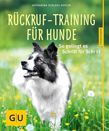Rückruf Training für Hunde: So gelingt es Schritt für Schritt