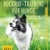 Rückruf Training für Hunde: So gelingt es Schritt für Schritt