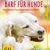 BARF für Hunde: Den besten Freund gesund ernähren