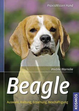 Beagle: Auswahl, Haltung, Erziehung, Beschäftigung
