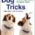 Dog Tricks: Clevere Spaßspiele für jeden Hund