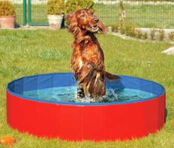 DOGGY POOL der Swimmingpool für Hunde - 120 cm