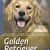 Golden Retriever: Auswahl, Haltung, Erziehung, Beschäftigung