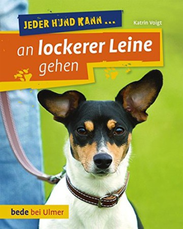 Jeder Hund kann an lockerer Leine gehen: Leinenführung