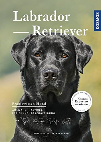Labrador Retriever: Auswahl, Haltung, Erziehung, Beschäftigung
