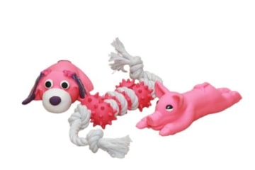 Nobby Latex Starter Set, kleine Hunde, Welpen