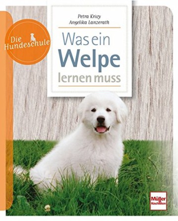 Was ein Welpe lernen muss, Ratgeber