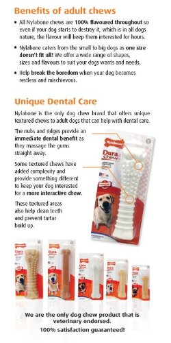 Der Interpet Nylabone Welpenschnuller aus Nylon ist ein schonendes und gut verträgliches Kauspielzeug für die ganz kleinen.