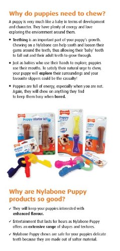 Der Interpet Nylabone Welpenschnuller aus Nylon ist ein schonendes und gut verträgliches Kauspielzeug für die ganz kleinen.