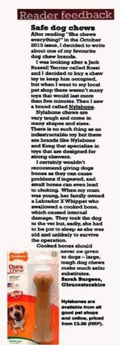 Der Interpet Nylabone Welpenschnuller aus Nylon ist ein schonendes und gut verträgliches Kauspielzeug für die ganz kleinen.