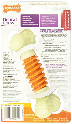 Der Interpet Nylabone - Zahnpflege-Kauknochen wurde speziell entwickelt, um dem Hund bei der Zahnhygiene zu helfen. Beläge werden beim Kauen reduziert.