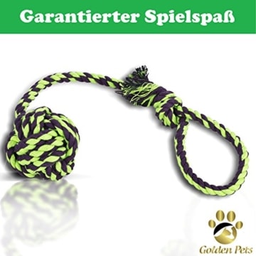 Golden Pets 4-Teiliges Set 