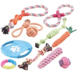 10er-Set buntes Hundespielzeug aus Baumwolle