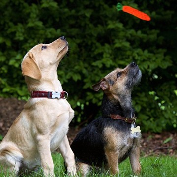 Ciaoed Hundespielzeug Set